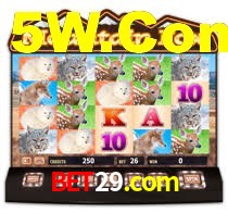 bet29.com,bet29